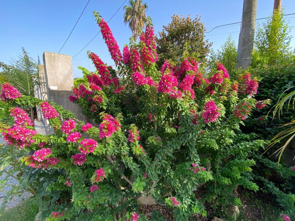 شقة Alto Giardino زامبروني المظهر الخارجي الصورة