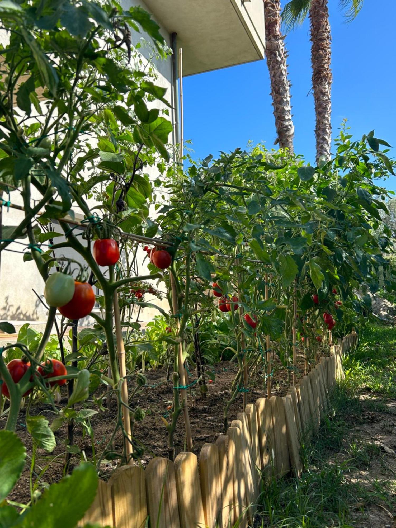 شقة Alto Giardino زامبروني المظهر الخارجي الصورة