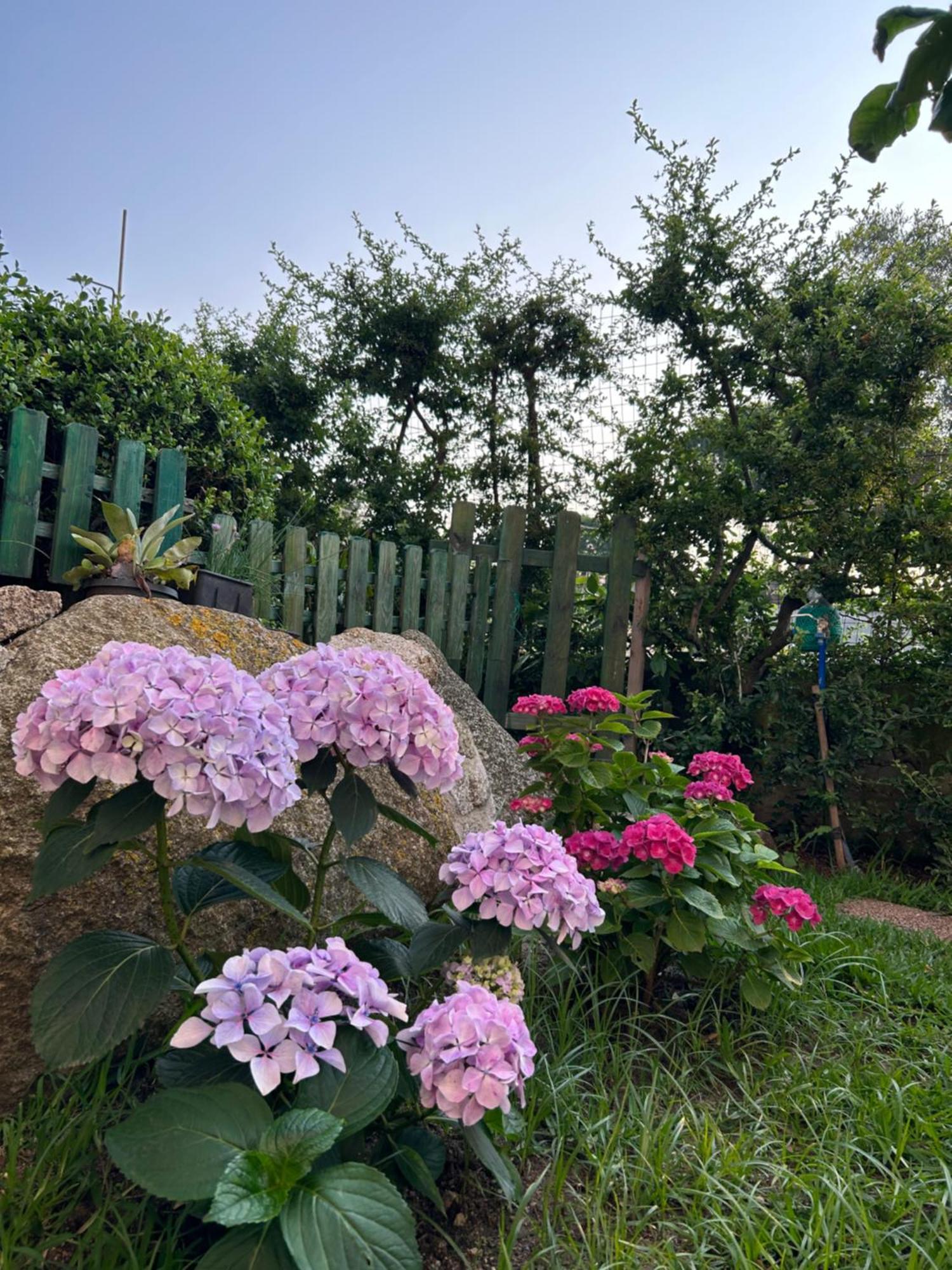 شقة Alto Giardino زامبروني المظهر الخارجي الصورة