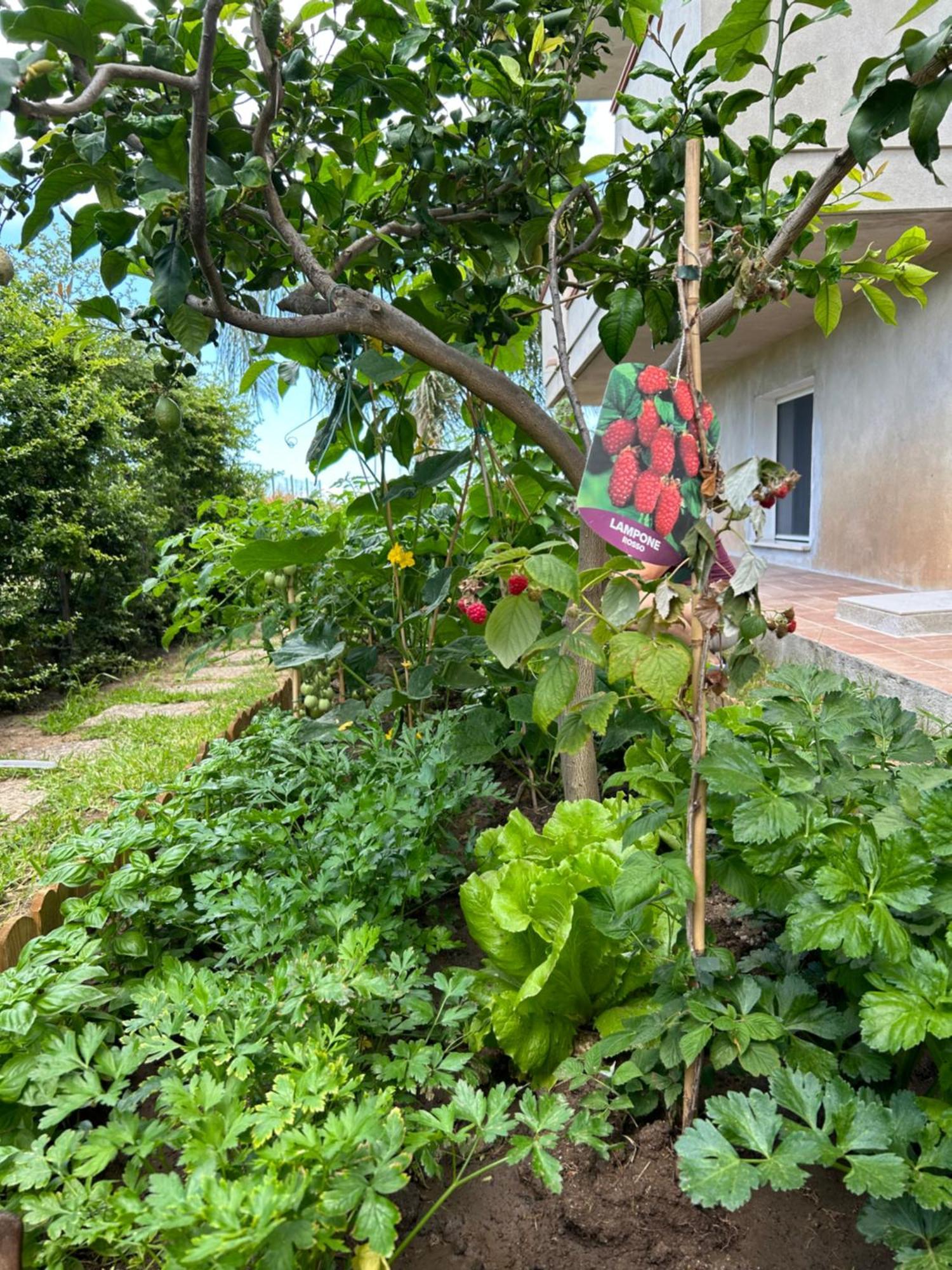 شقة Alto Giardino زامبروني المظهر الخارجي الصورة