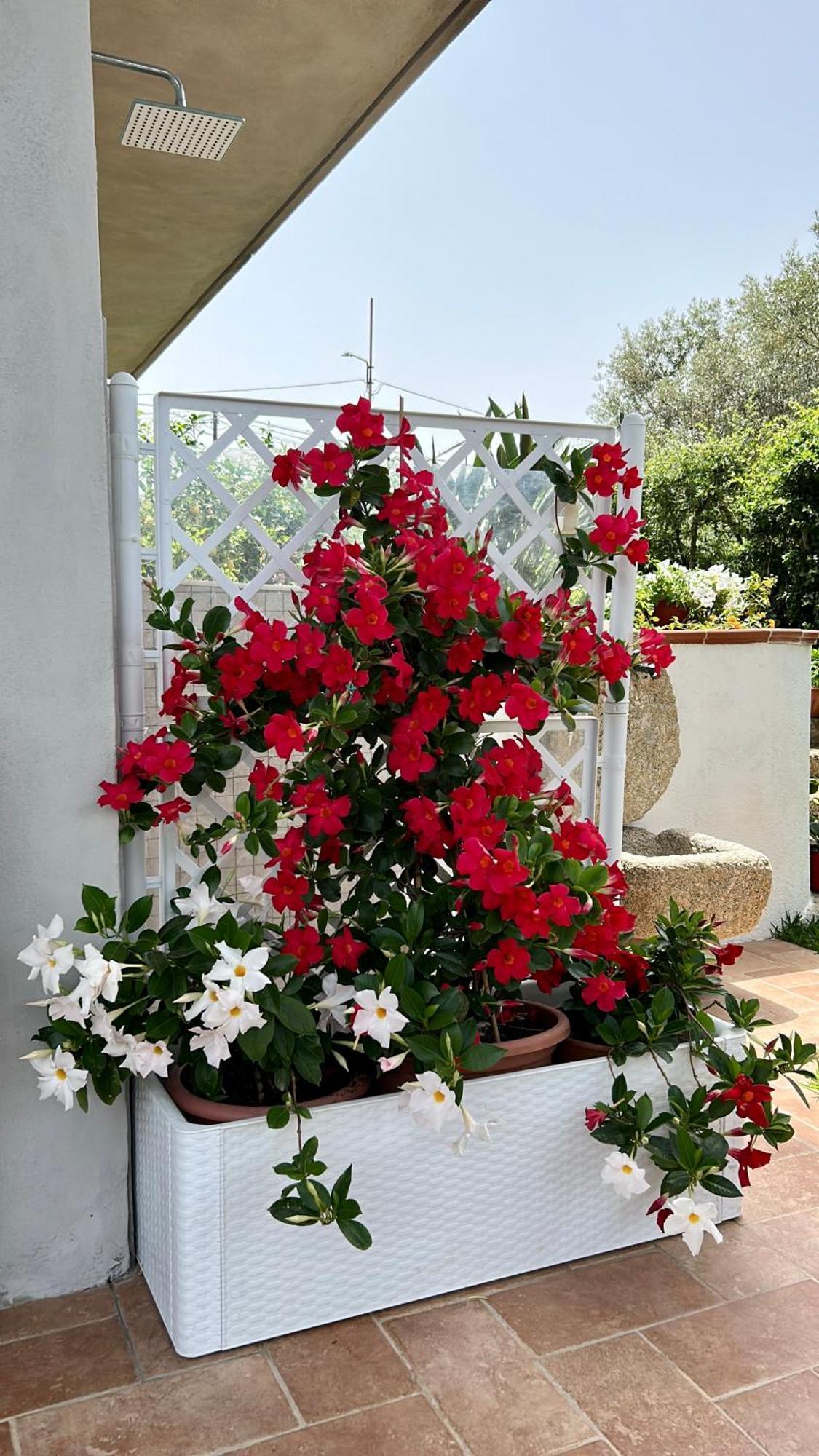 شقة Alto Giardino زامبروني المظهر الخارجي الصورة
