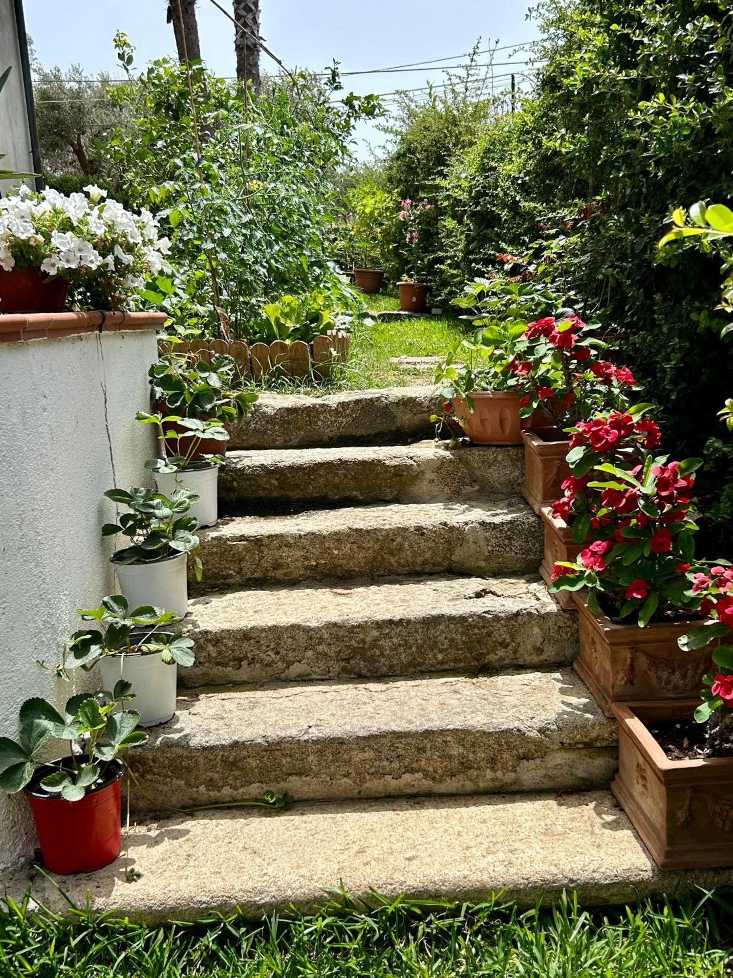 شقة Alto Giardino زامبروني المظهر الخارجي الصورة